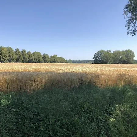 Blaues Haus - Ankommen Und Sich Wohlfuehlen