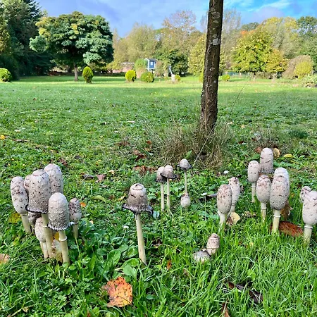 Feriehus Blaues Haus - Ankommen Und Sich Wohlfuehlen Hulseburg