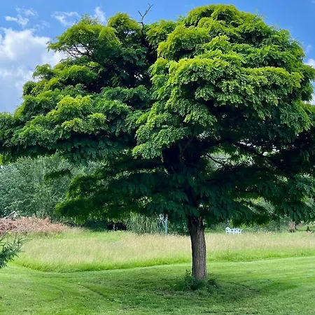 Blaues Haus - Ankommen Und Sich Wohlfuehlen * Hulseburg