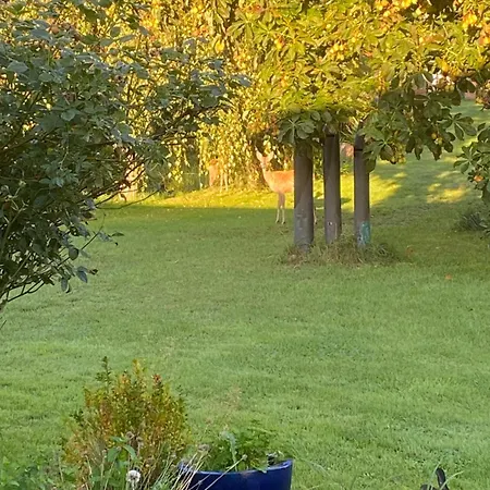 Feriehus Blaues Haus - Ankommen Und Sich Wohlfuehlen *