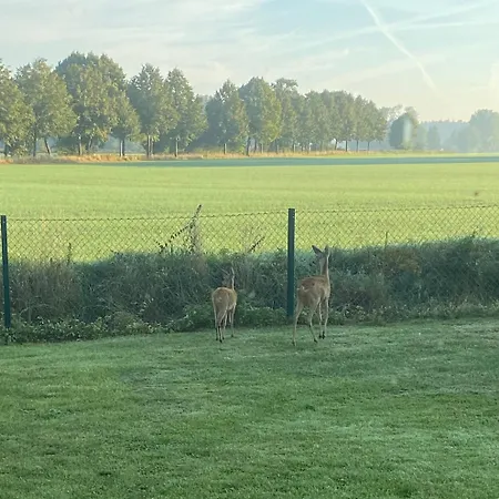 Blaues Haus - Ankommen Und Sich Wohlfuehlen Feriehus Hulseburg